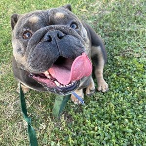 Meet your Posher, Alexis